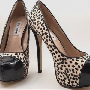 🌼 Steve Madden Dalmatian print heels 🌼